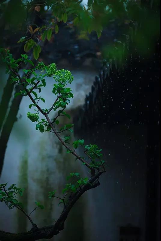 窝居智家：华夏方寸6